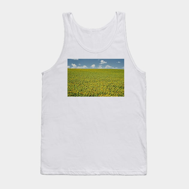 Sunflower field in the summer Tank Top by naturalis